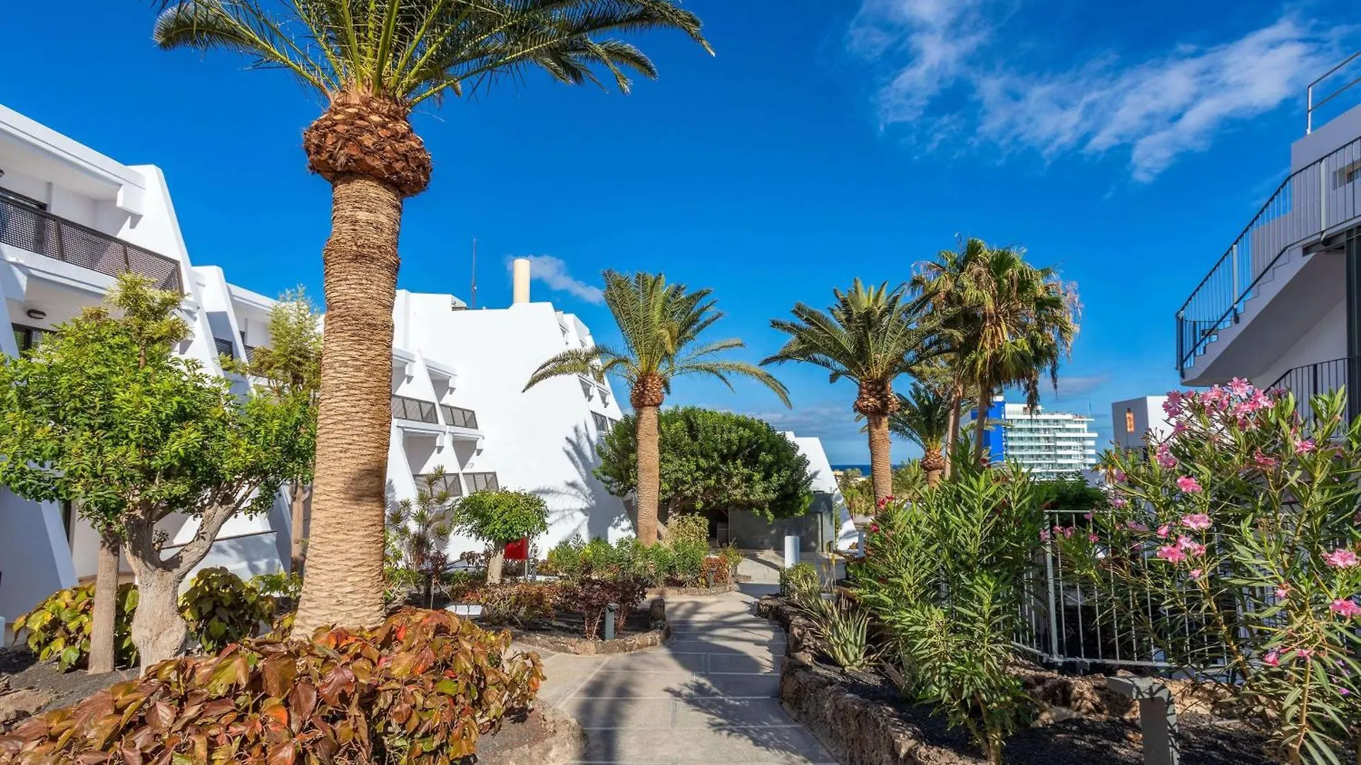 Sol Fuerteventura Jandia - All Suites Morro Jable  Hotel